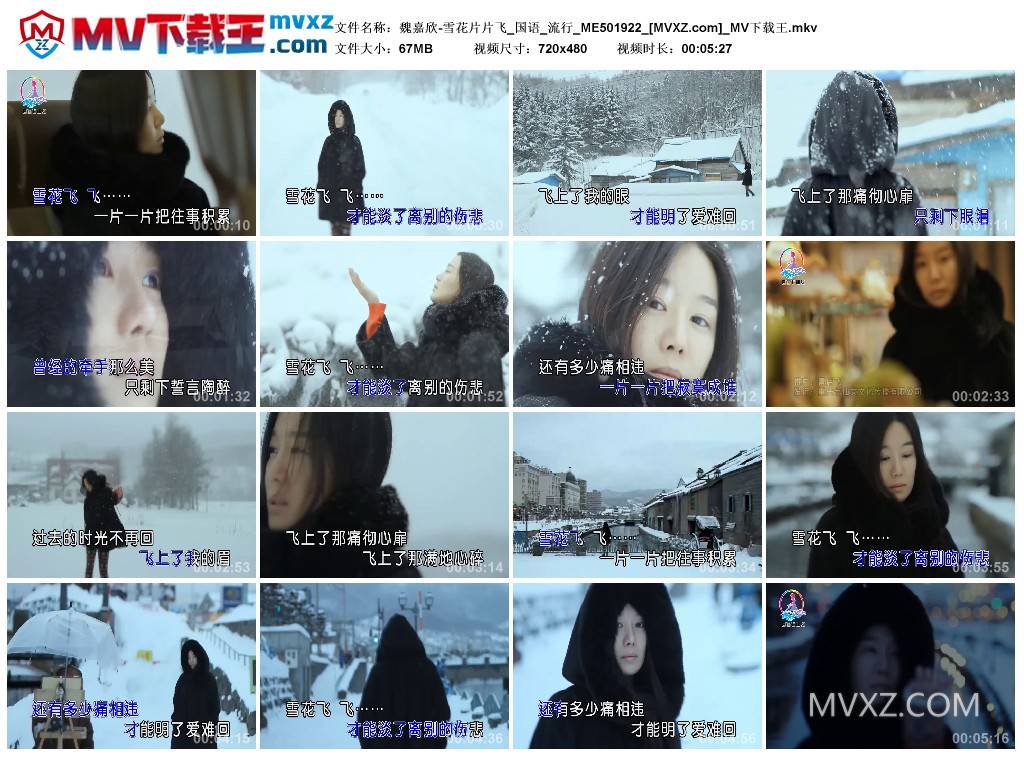 魏嘉欣-雪花片片飞_国语_流行_ME501922